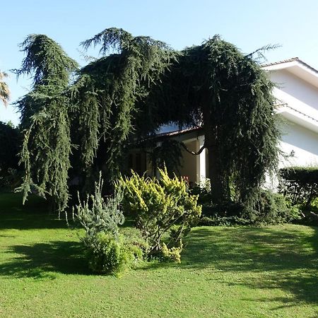 Villa Paradiso Le Rughe Ngoại thất bức ảnh