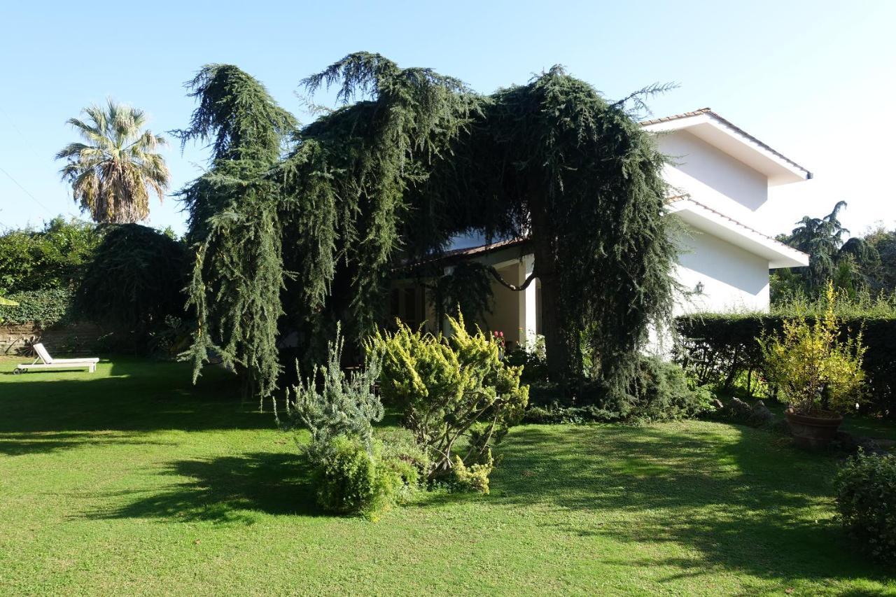 Villa Paradiso Le Rughe Ngoại thất bức ảnh
